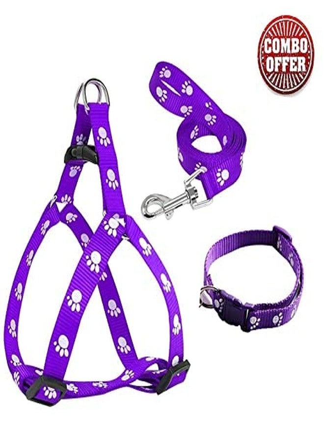 Pups&Pets Adjustable Soft Nylon Paw Printed Combo Set Collar, Harness and Leash for All Breeds Dogs, Cat and Puppies (Pack of 3) - Color as per Availability - Image 2